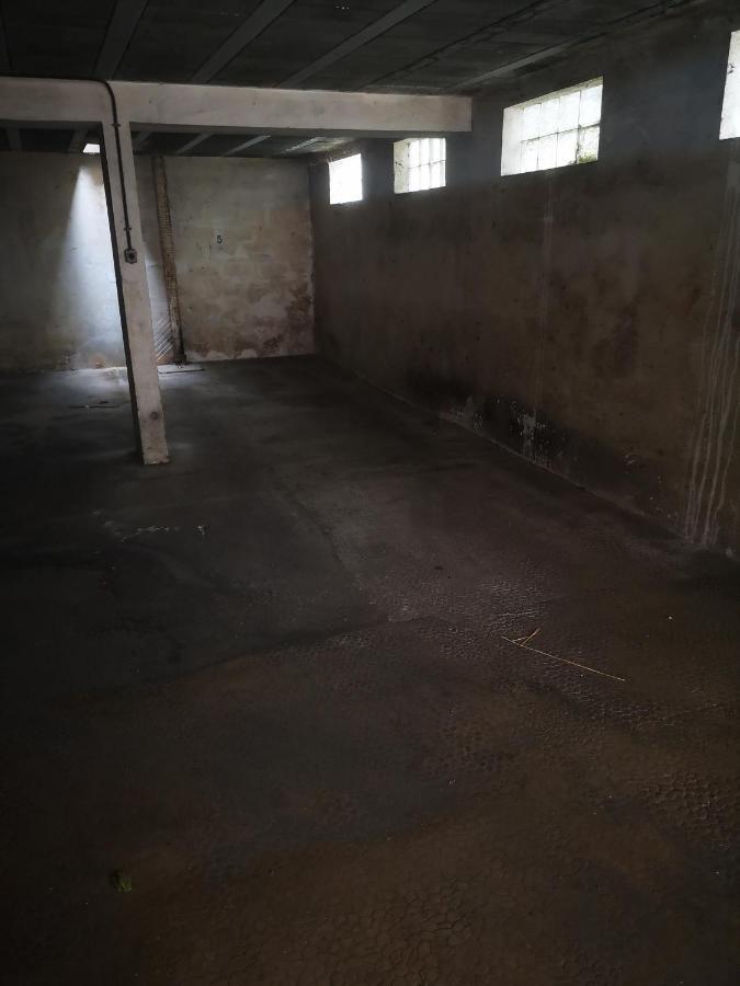 Apartament Studio Jungle Au Mourillon Tulon Zewnętrze zdjęcie